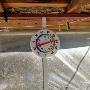 Meet your Posher, Kenny